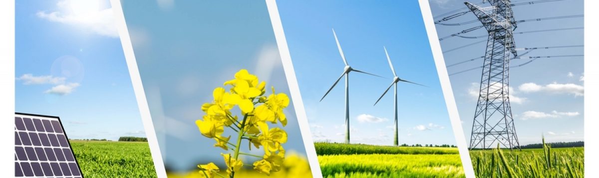 SS HB Gayrimenkul İşletme, Yenilenebilir Enerji &Uuml;retim ve Kalkınma Kooperatifi